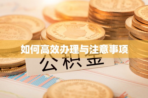 竹南如何高效办理与注意事项