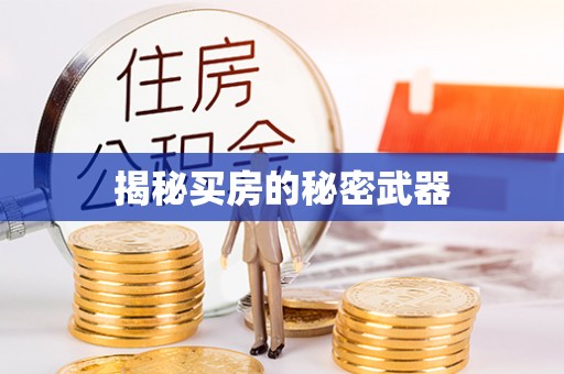 竹南揭秘买房的秘密武器
