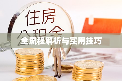 竹南全流程解析与实用技巧