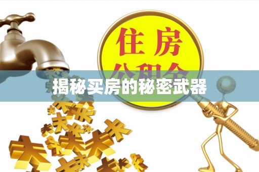 竹南揭秘买房的秘密武器