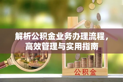 竹南解析公积金业务办理流程，高效管理与实用指南