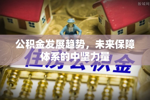 竹南公积金发展趋势，未来保障体系的中坚力量