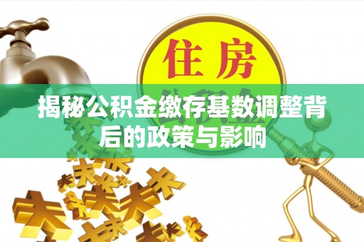 竹南揭秘公积金缴存基数调整背后的政策与影响
